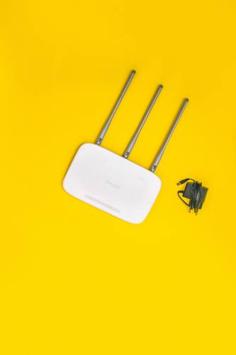 1. Fourniture et Livraison Point d'accès WIFI